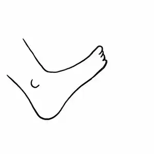 Illustration_sans_titre copie.gif